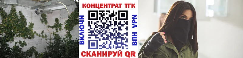 ТГК концентрат  где купить наркоту  Гаврилов Посад 
