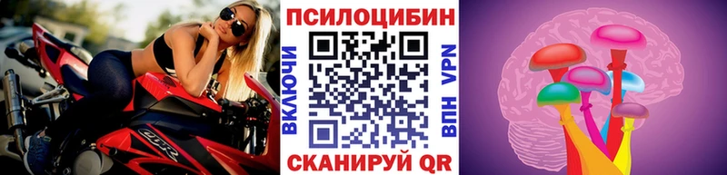цены наркотик  Гаврилов Посад  Галлюциногенные грибы мухоморы 